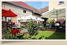 Pension Gasthof Witte - Biergarten